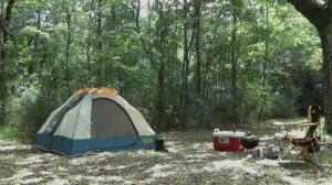 www.lewrubens.com - Drea Camper pt1 thumbnail
