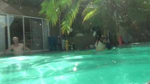 www.lewrubens.com - Lexi Fetish Mermaid Dildo Fetch Game thumbnail